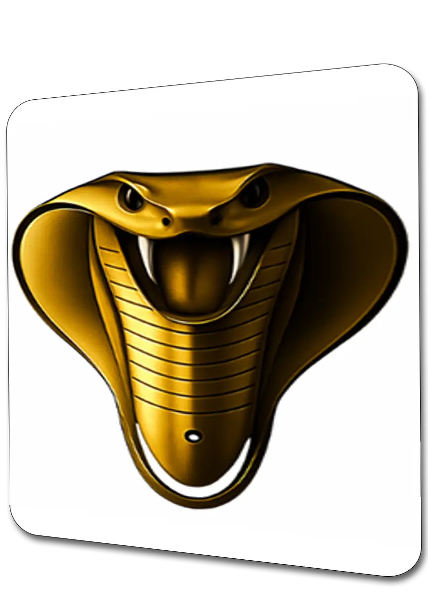 اشتراك كوبرا TV | المتجر الرسمي Cobra TV